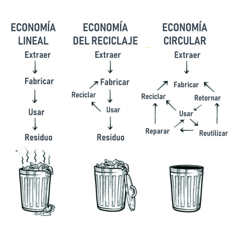 Diferencia entre Economía Lineal y Circular